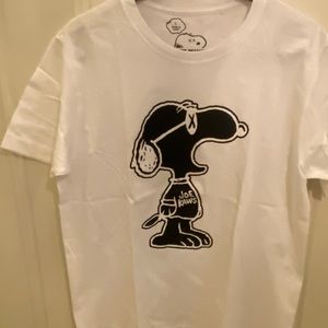 KAWS x Uniqlo Peanuts Joe KAWS